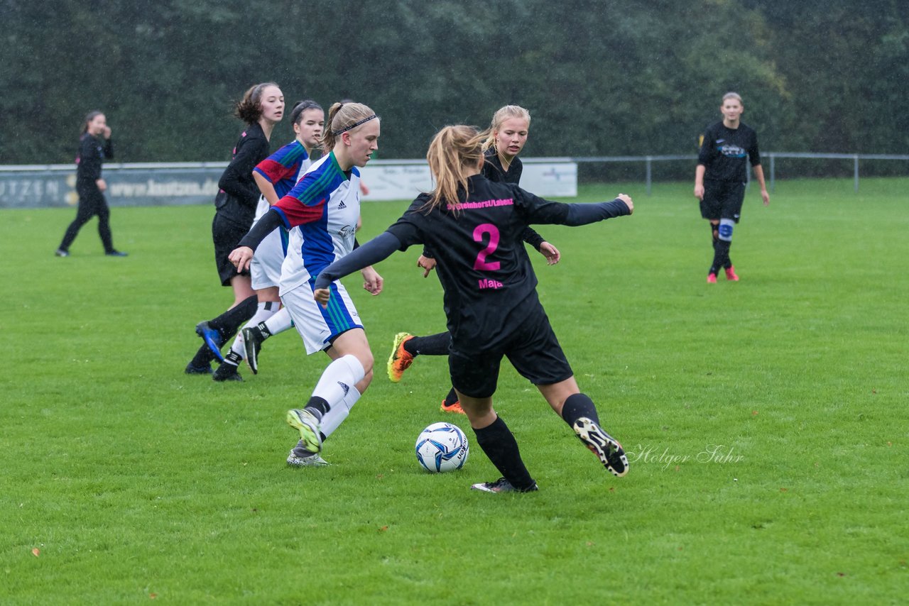 Bild 210 - B-Juniorinnen SV Henstedt Ulzburg - MSG Steinhorst Krummesse : Ergebnis: 4:0